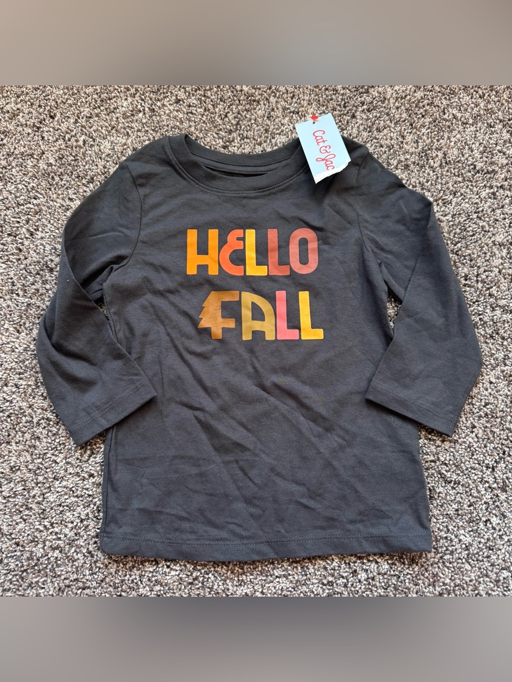 Cat & Jack Gray Long-Sleeve "Hello Fall" Tee